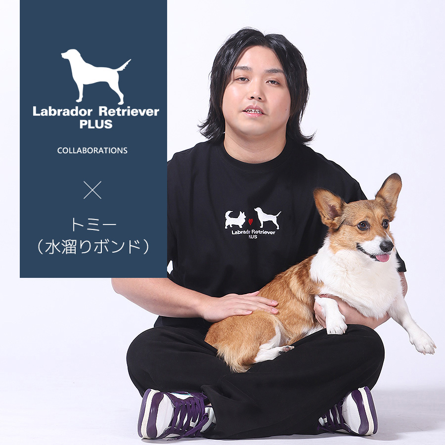 トミー コラボアイテム