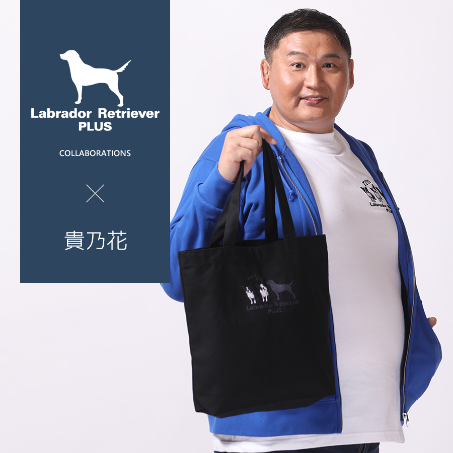 AAA 與真司郎 Chereineコラボ YOLOバッグ 2025年最新】YoLo バッグの人気アイテム - メルカリ