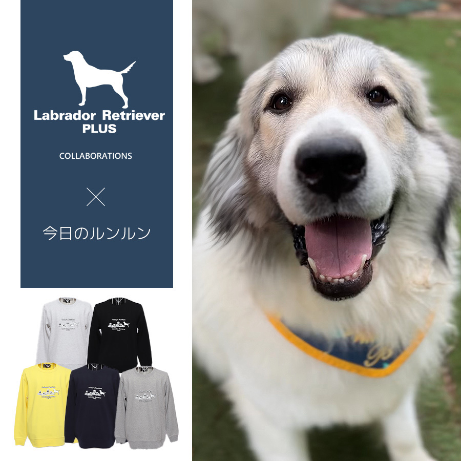 受注期間限定！今日のルンルンコラボ企画！コラボトレーナー◇今日の