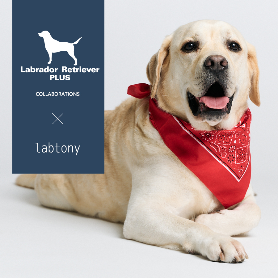 labtony コラボアイテム