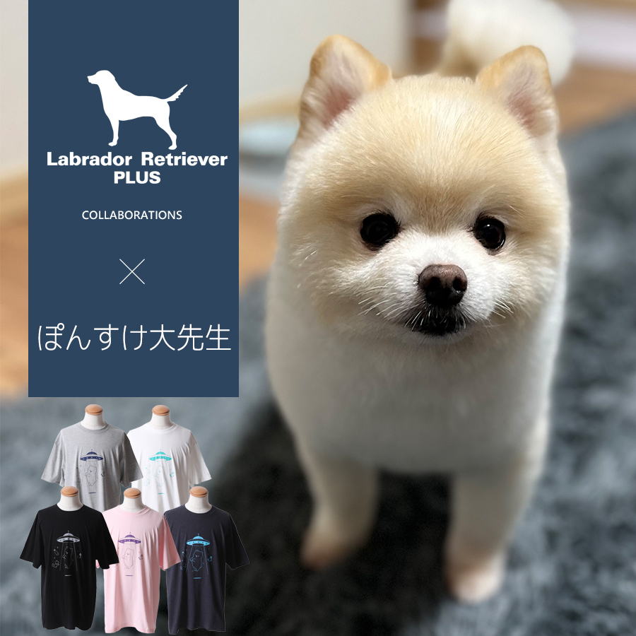 第85回日本ダービー会場当選品 キャプテン翼コラボ ナリタブライアン　シャツ 受注期間限定！ぽんすけ大先生コラボ企画！コラボ半袖Tシャツ◇ぽん