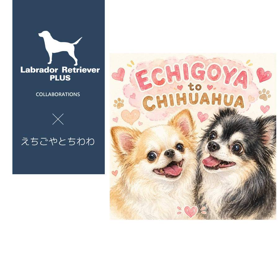 えちごやとチワワコラボアイテム